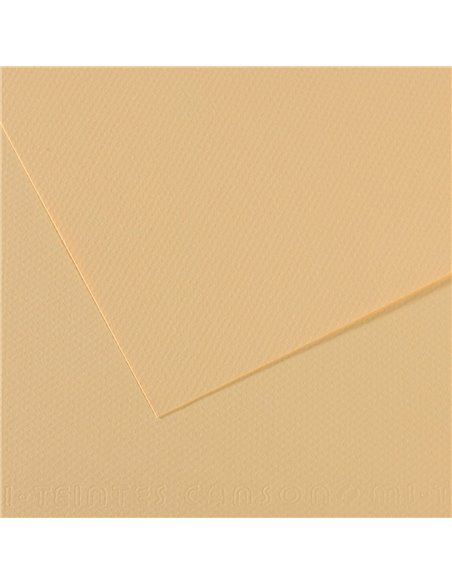 Papier dessin canson feuille mi-teintes n 407 grain gelatine haute teneur coton 160g 50x65cm unicolore lichen.