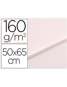 Papier dessin canson feuille mi-teintes n 335 grain gelatine haute teneur coton 160g 50x65cm unicolore blanc.