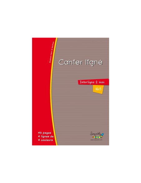 Cahier hamelin serpodile 17x22 cm 48 pages double ligne 2mm avec marge niveau 5.