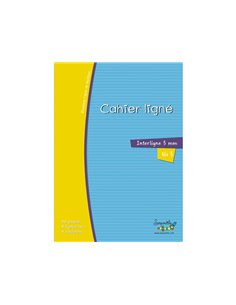 Cahier hamelin serpodile 17x22 cm 48 pages double ligne 3mm niveau 3.