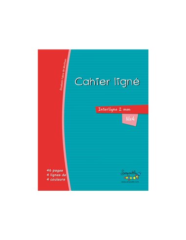 Cahier hamelin serpodile 21x29.7 cm a4 48 pages double ligne 2mm niveau 4.