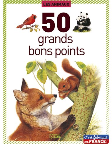 Bon point éditions lito animaux texte pédagogique au verso 140x102mm boîte 50 unités.