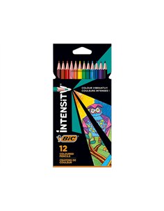 Crayons couleur bic intensity up corps triangulaire pack de 12.