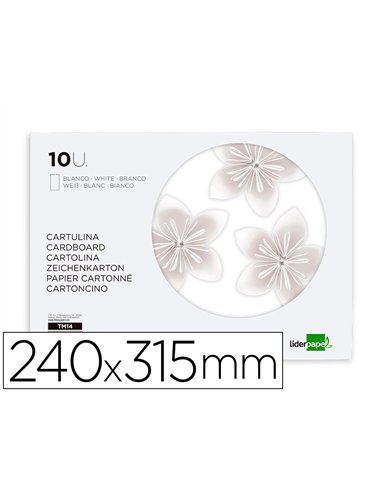Bloc papier dessin liderpapel 240x315mm 180g/m2 10f coloris blanc.