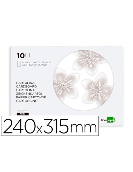 Bloc papier dessin liderpapel 240x315mm 180g/m2 10f coloris blanc.
