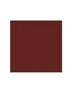 Papier dessin clairefontaine cartoline 50x65cm 120g coloris marron paquet 25 feuilles.