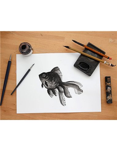 Pochette dessin et lavis clairefontaine papier 160g surface lisse format a4 21 x 29,7 cm 12 feuilles.