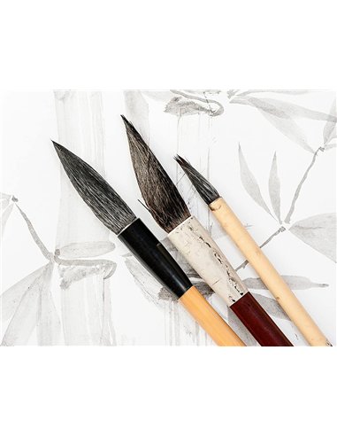 Pochette dessin et lavis clairefontaine papier 160g surface lisse format a4 21 x 29,7 cm 12 feuilles.