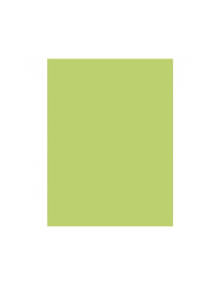 Papier affiche clairefontaine 60x80cm 90g coloris vert clair paquet 25 feuilles.