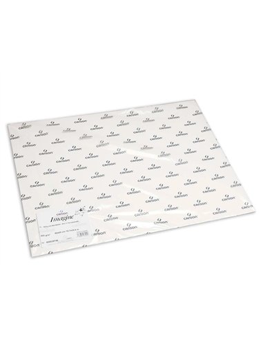 Papier dessin canson c a grain crayon encre gouache feutre 180g feuille 50x65cm.