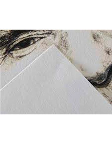 Papier dessin canson c a grain crayon encre gouache feutre 180g feuille 50x65cm.