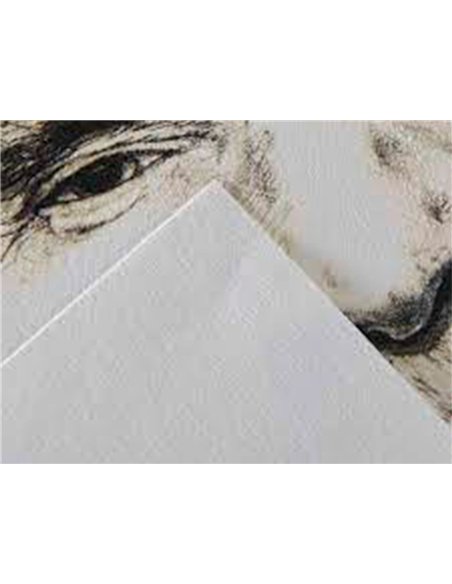 Papier dessin canson c a grain crayon encre gouache feutre 180g feuille 50x65cm.