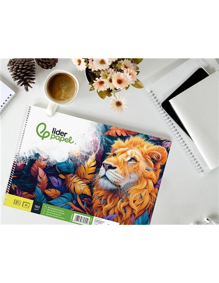 Bloc liderpapel papier dessin artistique spirale sans encadrement 180g/m2 format a4+ 230x325mm 20f.