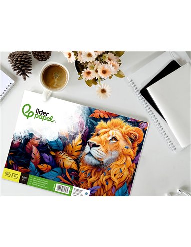 Bloc liderpapel papier dessin artistique encollé sans encadrement 180g/m2 format a4+ 230x325mm 20f.
