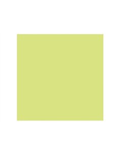 Papier dessin clairefontaine cartoline 50x65cm 120g coloris vert clair paquet 25 feuilles.