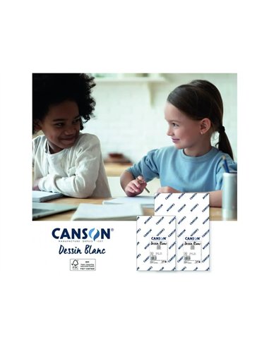 Ramette papier dessin canson a grain 24x32 cm 120g 250 feuilles.