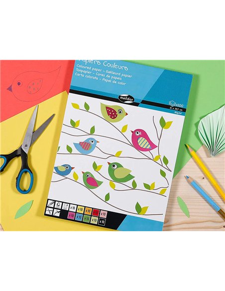 Bloc clairefontaine 1er prix, 100 feuilles papier couleur 80g a4 assortis.