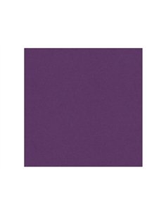 Papier dessin clairefontaine cartoline 50x65cm 120g coloris violet paquet 25 feuilles.