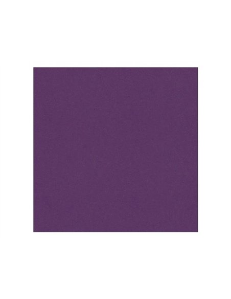 Papier dessin clairefontaine cartoline 50x65cm 120g coloris violet paquet 25 feuilles.