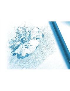 Papier dessin clairefontaine à grain 180g 24x32cm pochette de 15u lot 30 pochettes. 2