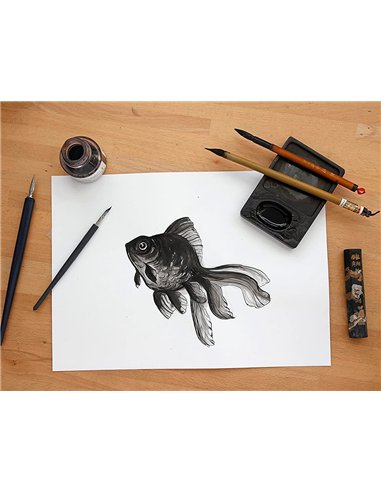 Pochette dessin et lavis clairefontaine papier 160g surface lisse format . Format 24 x 32cm 12 feuilles.