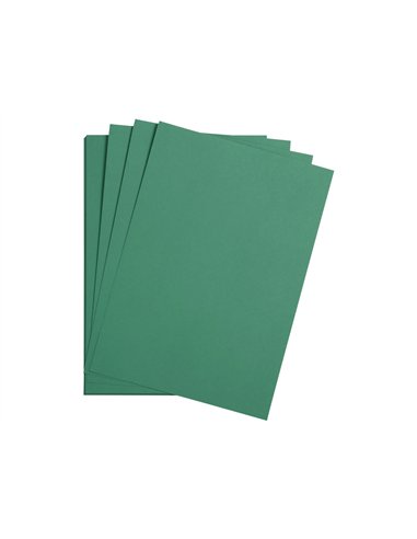 Feuille papier clairefontaine maya 270g 500x700mm coloris vert sapin paquet 25 unites.