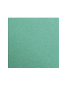 Feuille papier clairefontaine maya 270g 500x700mm coloris vert sapin paquet 25 unites. 2