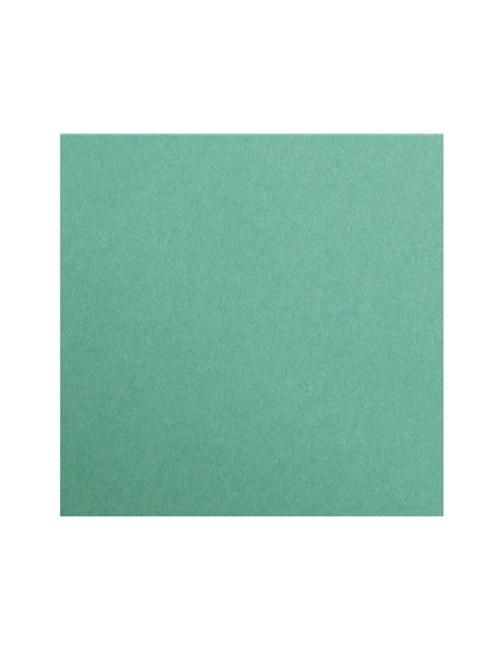 Feuille papier clairefontaine maya 270g 500x700mm coloris vert sapin paquet 25 unites.