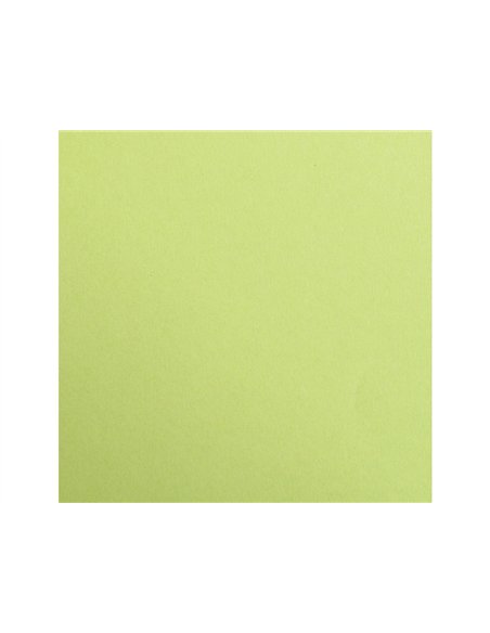 Feuille papier clairefontaine maya 270g 500x700mm coloris vert mousse paquet 25 unites.