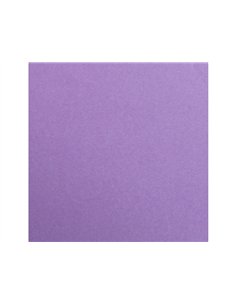 Feuille papier clairefontaine maya 270g 500x700mm coloris violet paquet 25 unites. 2