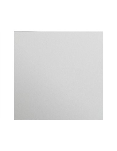 Feuille papier clairefontaine maya 270g 500x700mm coloris gris clair paquet 25 unites.