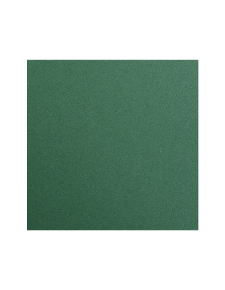 Feuille papier clairefontaine maya 270g 500x700mm coloris vert antique paquet 25 unites.