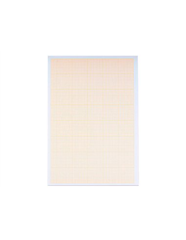 Papier millimétré liderpapel 1mm 80g/m2 feuille a4 210x297mm minipack 10f.