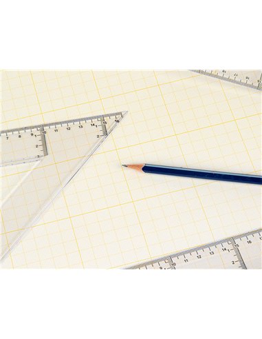 Papier millimétré liderpapel 1mm 80g/m2 feuille a4 210x297mm minipack 10f.