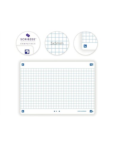 Fiches bristol oxford revision 2.0 a6 non perforee 32 fiches/film q5x5 cadre blanc.
