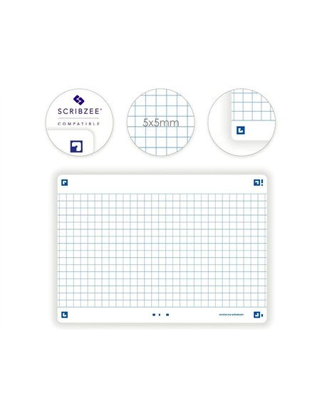 Fiches bristol oxford revision 2.0 a6 non perforee 32 fiches/film q5x5 cadre blanc.