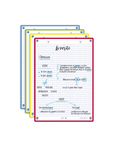 Fiches bristol oxford revision 2.0 a5 perforee 32 fiches/film q5x5 couleur assorties.