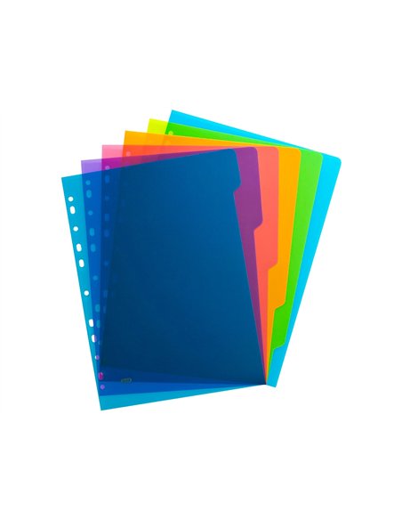 Intercalaire oxford polypropylène color life 6 positions a4 210x297mm réutilisable perforation indéchirable translucide.