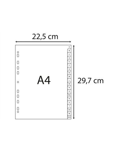 Intercalaires imprimes alphabetiques exacompta polypropylene a4 20positiones a-z gris.