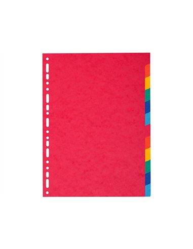 Intercalaire exacompta carte marbrée recyclée 220g 12 positions a4 coloris vifs.