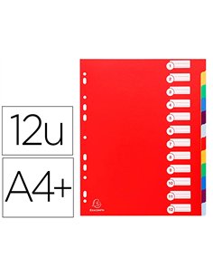 Intercalaire exacompta polypropylène 12/100e souple indéchirable 12 touches a4+ coloris assortis.
