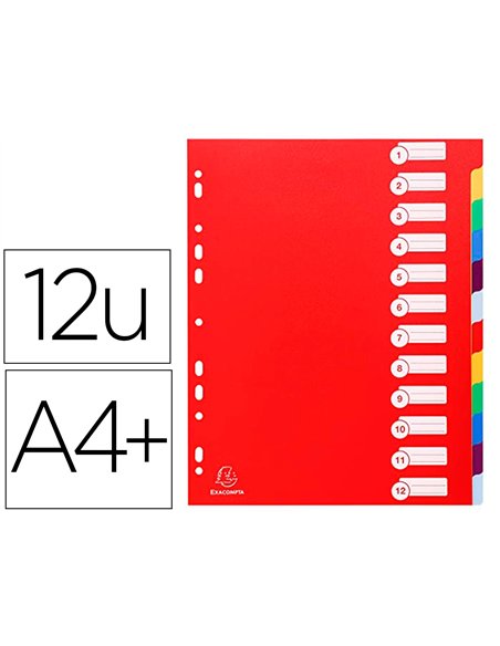 Intercalaire exacompta polypropylène 12/100e souple indéchirable 12 touches a4+ coloris assortis.