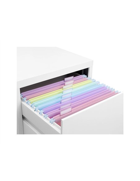 Dossier suspendu viquel rainbow pastel polypropylene coloris assortis lot 8 unites.