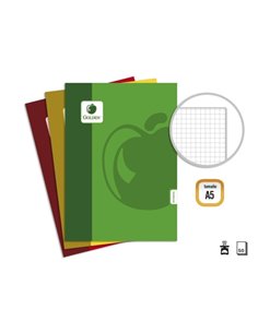 Pack de 10 cahiers agrafés Golden Basic A5, 50 feuilles, 60 g/m², quadrillé - Couleurs assorties