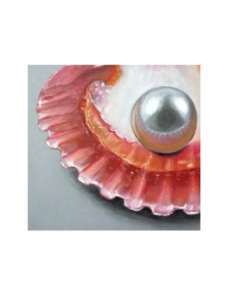 Encre a dessiner nacree tcolors flacons de 250 ml 6 unites coloris assortis.