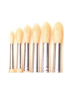 Brosse ronde o'color poils soie blanche n 06 utilisation scolaire lot 10 unites.