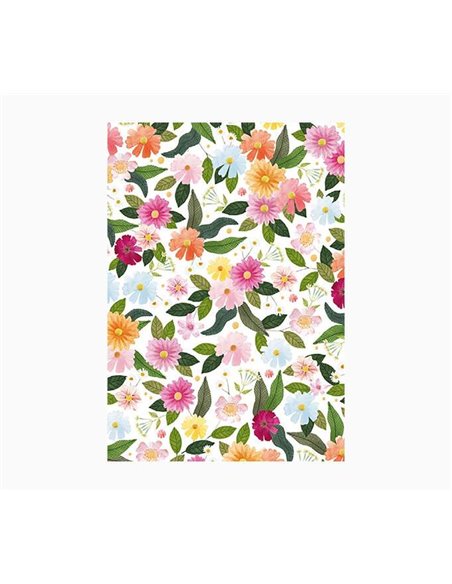 Carnet Pictura A6 - 105 x 150 mm - 48 pages lignées - Papier certifié FSC