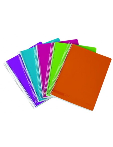 Cahier à spirales Ancor Classic Stripes, format folio, ligné horizontal - 80 feuilles, 90 g/m² - Couverture plastique - Couleurs