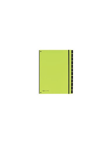 Trieur durable carte rigide a4 12 compartiments coloris vert