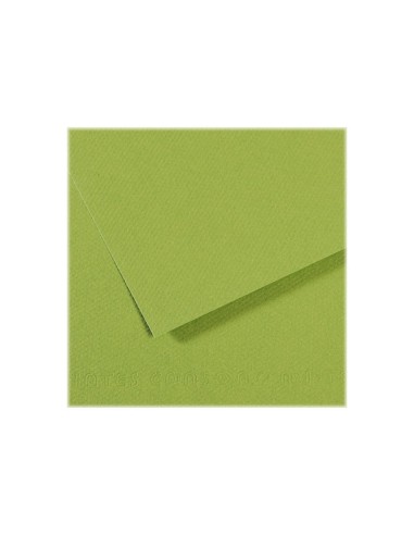 Papier dessin canson feuille mi-teintes n 475 grain gelatine haute teneur coton 160g 50x x65cm unicolore vert pomme